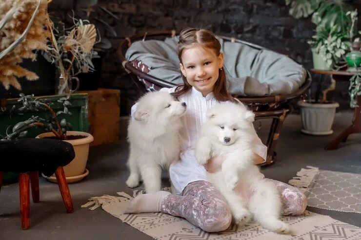 Abu Dhabi Pet Transport to the UK With Full Compliance