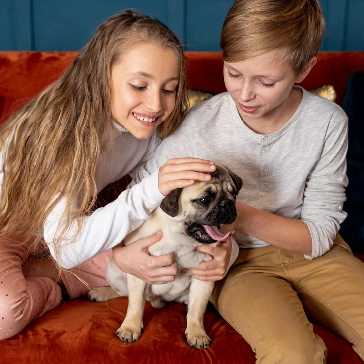 Custom Pet Travel Itinerary Design and Planning Tools: Your Ultimate Guide to Stress-Free Pet-Friendly Adventures