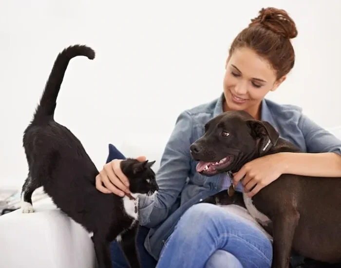 Airport Cargo Handling and Departure Coordination