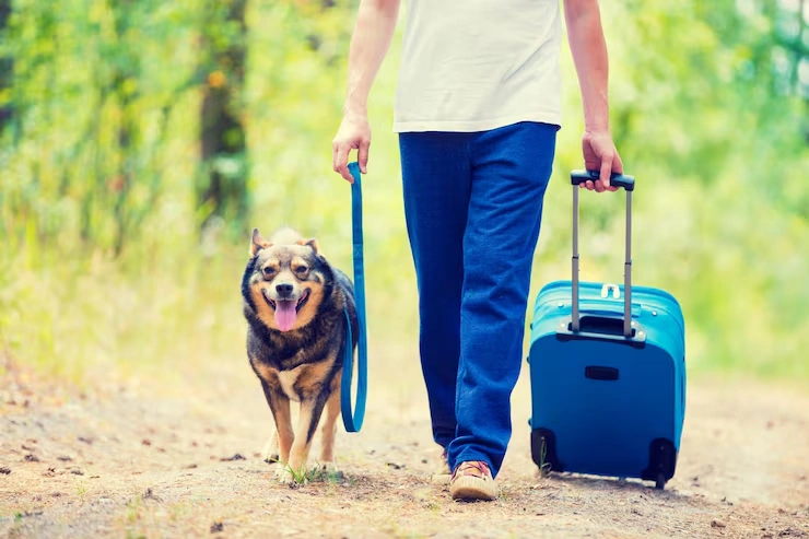 Breed Compliance and Entry Eligibility Checks