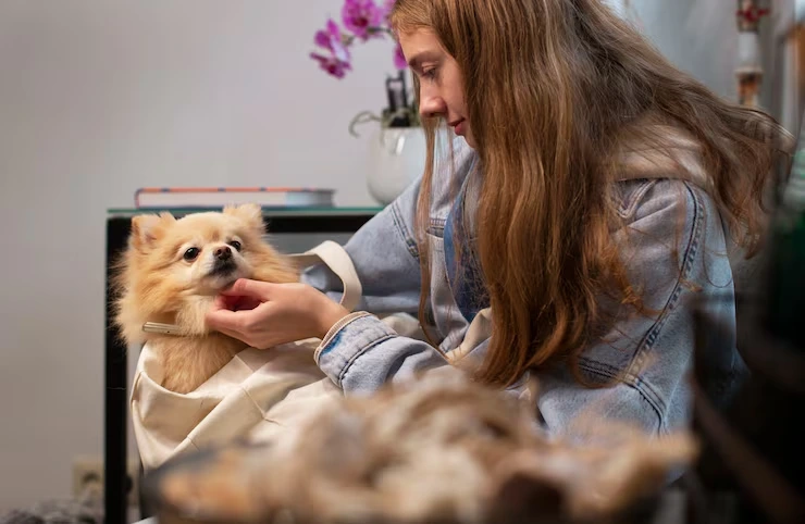 Custom Pet Travel Itinerary Design and Planning Tools Your Ultimate Guide to Stress-Free Pet-Friendly Adventures