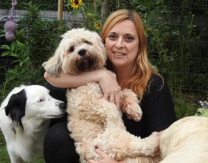 Door-to-Airport Transport Across the UK