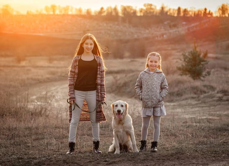 Door-to-Door Pet Relocation Management