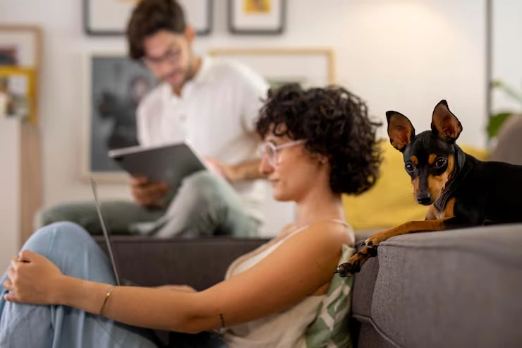 Expert Tips for Stress-Free Pet Travel