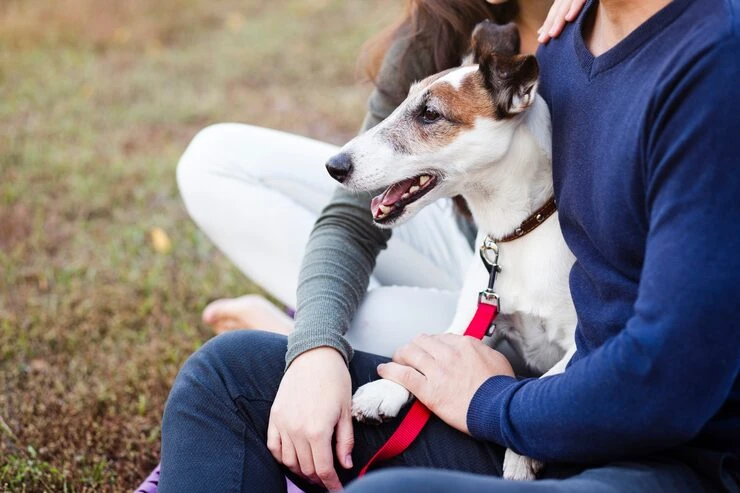 Heathrow Animal Reception Centre Coordination