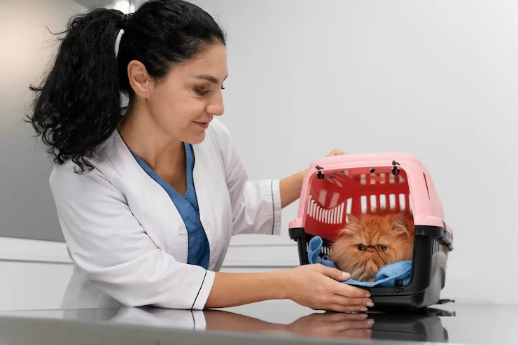 India Pet IATA Crate Preparation and Travel Conditioning