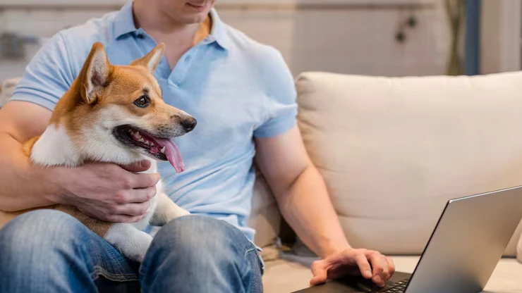 Industry statics that matter for australia pets