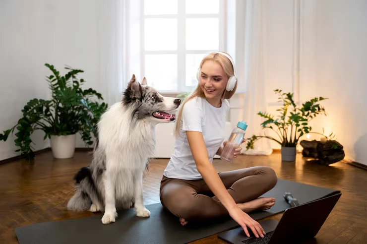 Industry statics that matter for pets transporrt