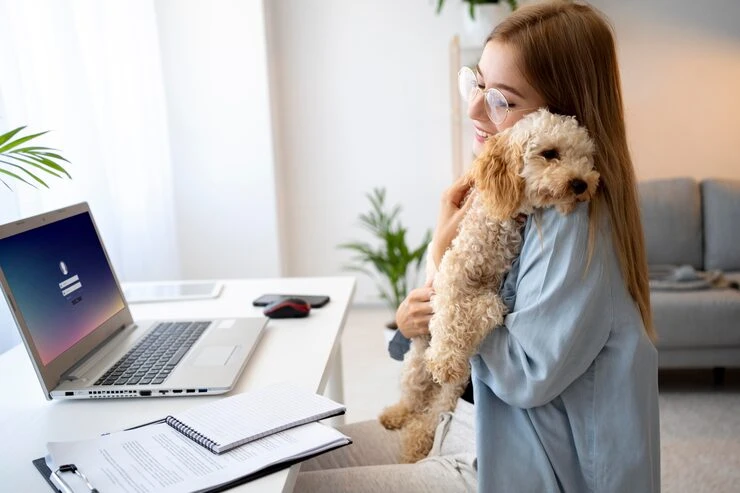Industry statics that matter for pets transport in bahrain
