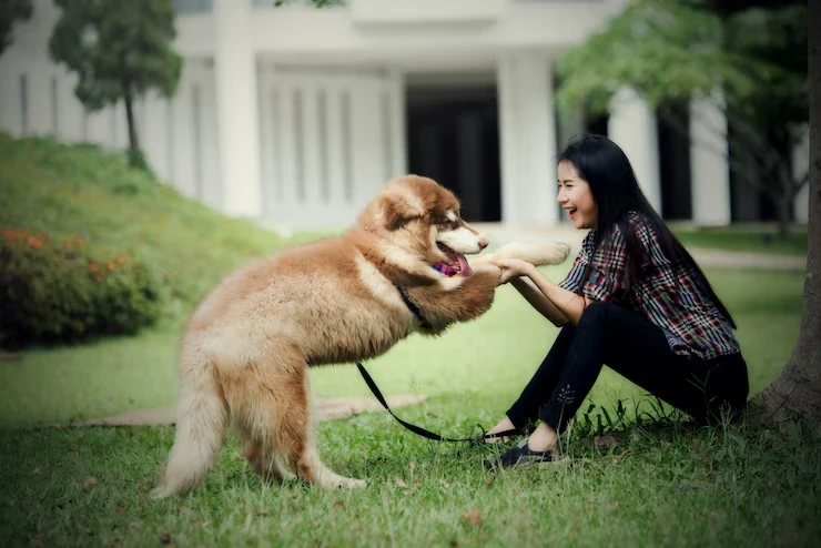 Industry statics that matter in india pets
