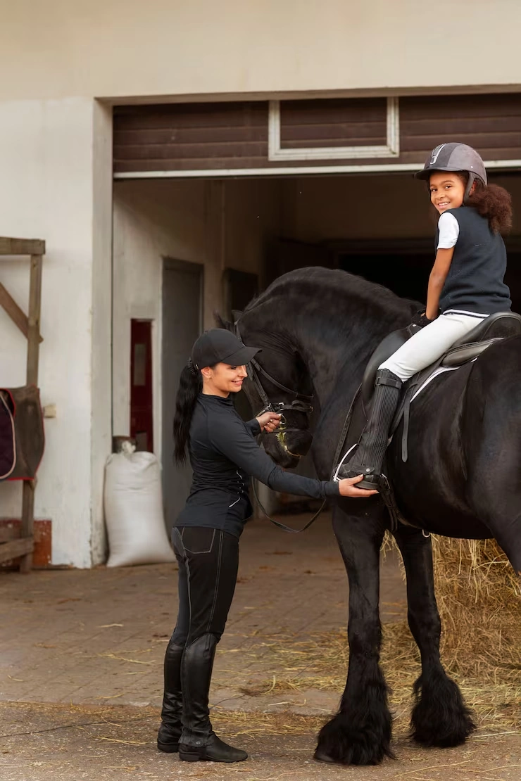 International Mini Horse Transport and Export Coordination
