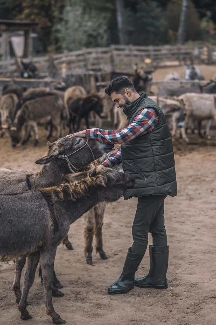Long-Distance Transport with Rest and Stabling Integration