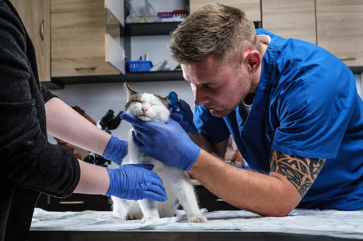 Multi-Pet Post-Arrival UK Veterinary & Compliance Support