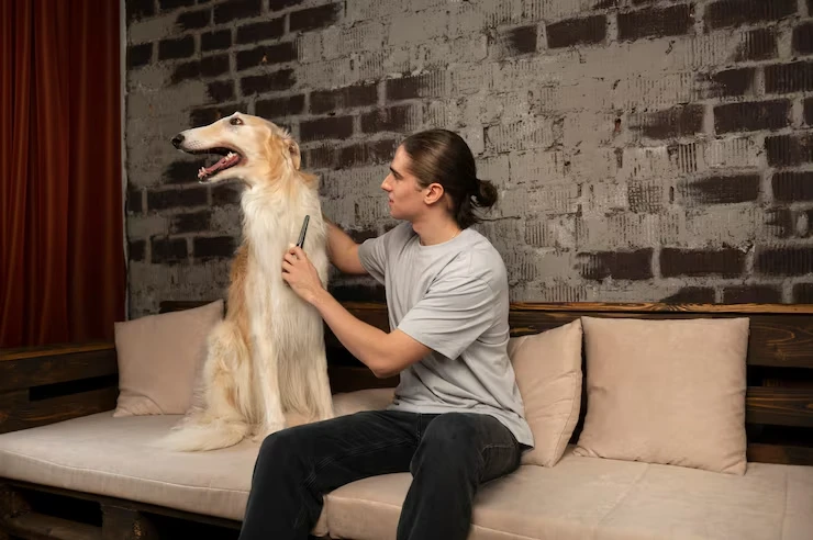 Multi-Pet Relocation and Structured Shipmentss