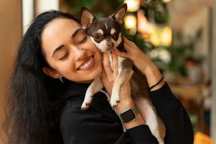 Multi-Pet and High-Value Relocation Planning
