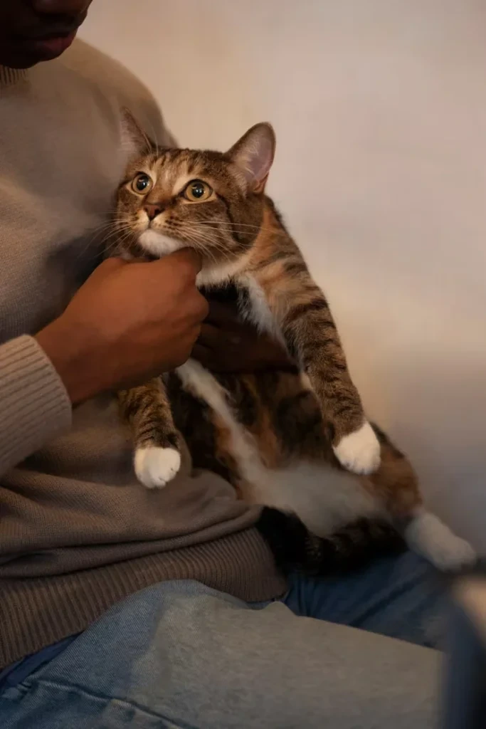 Over 70 percent of relocation delays