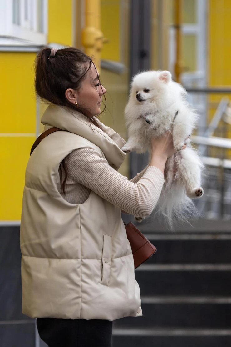 Pet Courier Service From the UK to Dubai