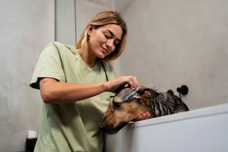 Private Jet Pet Transport Optionss