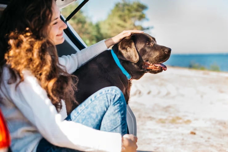 Rabies Vaccination and Antibody Testing Control