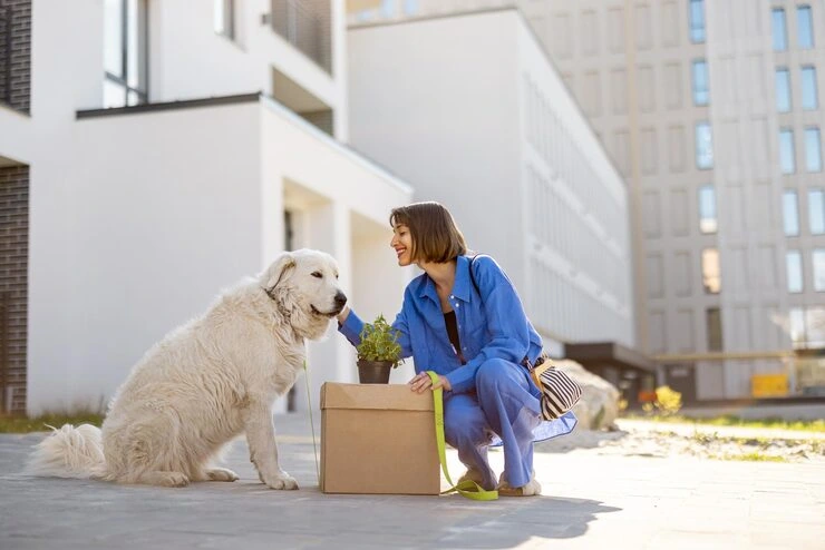 UAE Import Permit and Documentation Processing