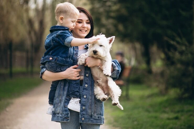 UK Import Documentation and Clearance