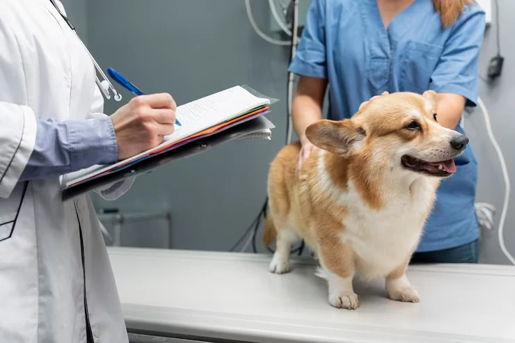 Veterinary Preparation and Certification Control