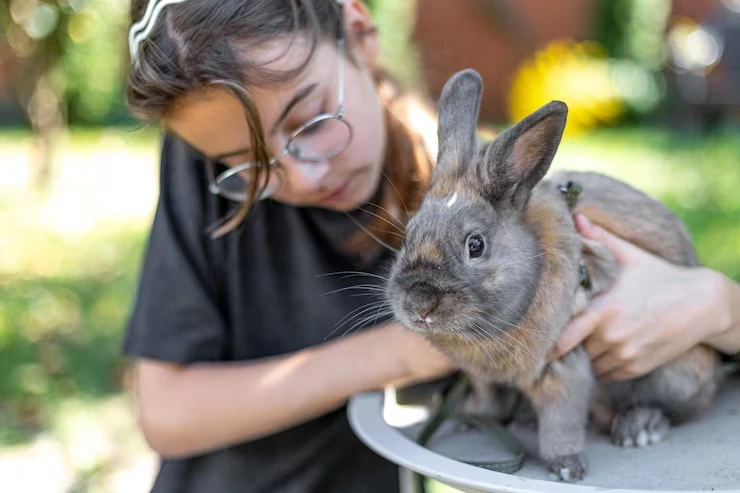 Rabbit Delivery Service