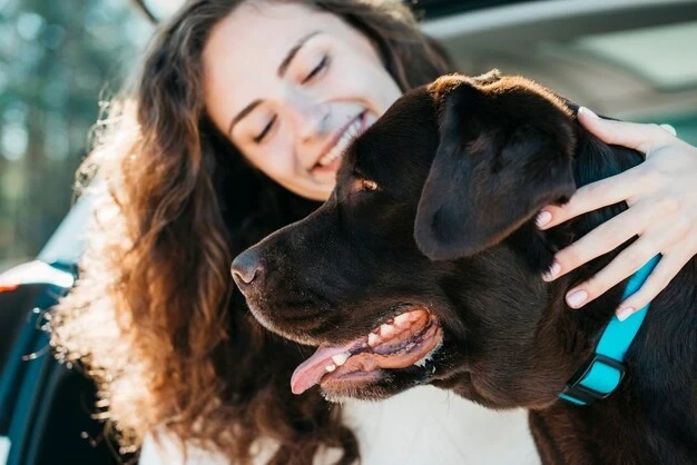 Secure Pet Transport Stoke on Trent