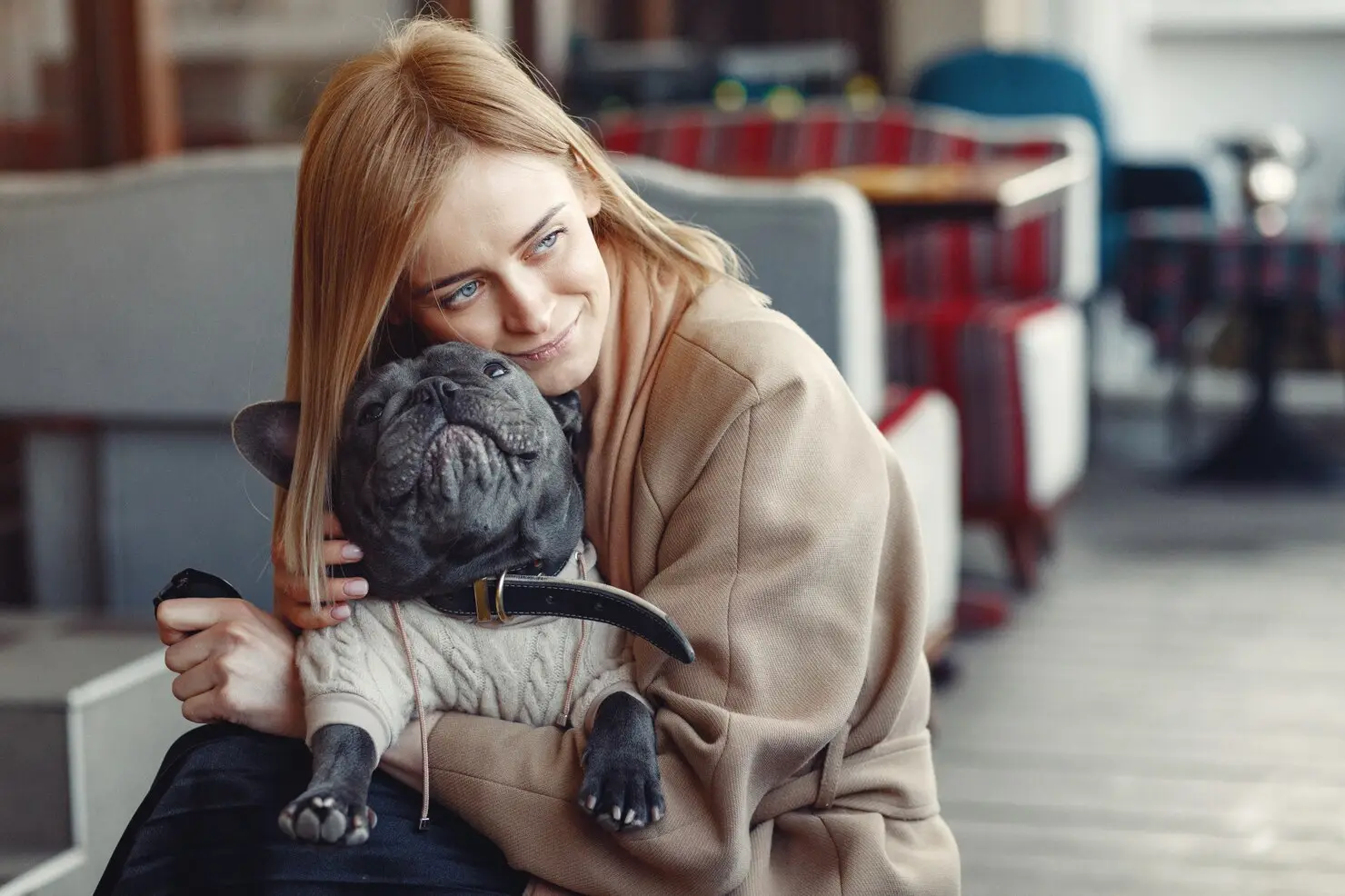 Premium Pet Transport for Sensitive Pets