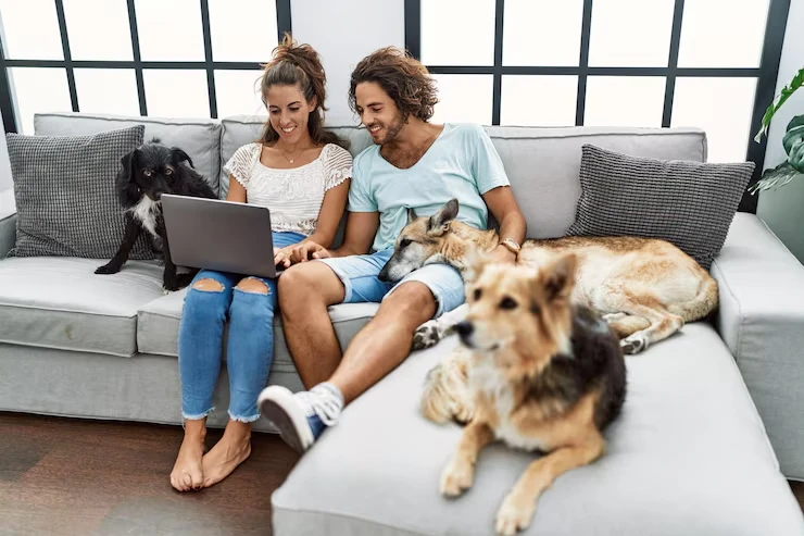 Experts providing 24-7 pet transport tracking services to monitor pets safely during travel.