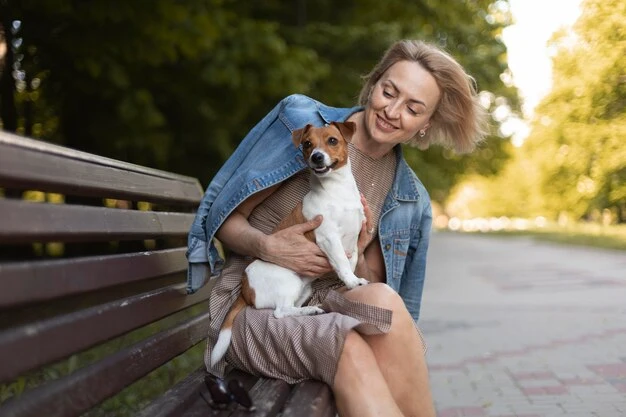 Experts providing flight pet booking services from the UK to Poland for safe and comfortable travel.