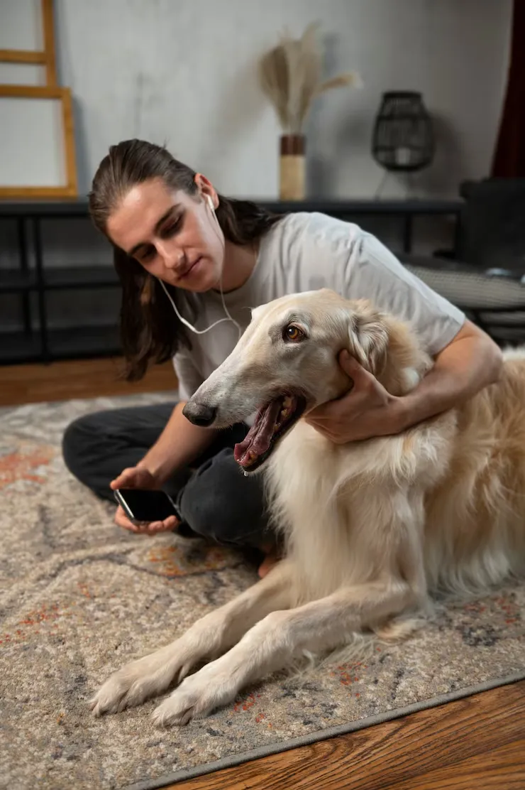 Expert Pre Travel Consultation for UK to Germany Pet Relocations With Route Planning and Documents