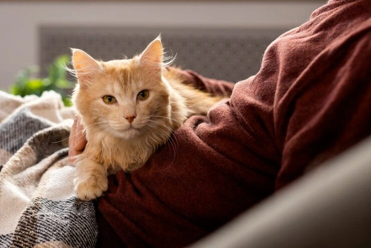 UK Arrival Clearance and Final Coordination ​