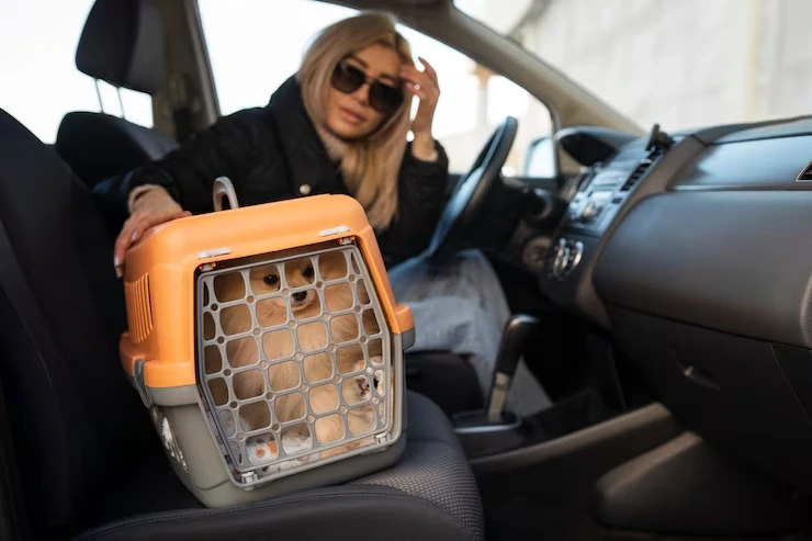 Pet Courier Services UK to Hungary