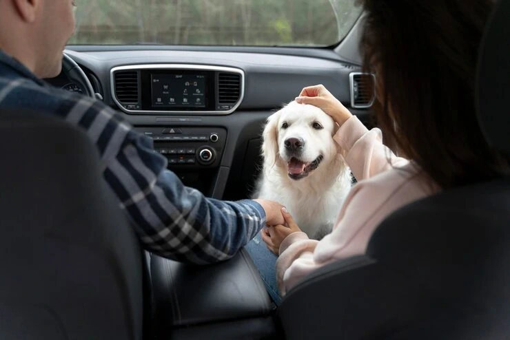 Pet Export Services UK to Hungary