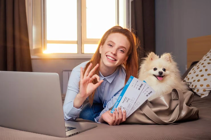 Pet Courier Services Exeter