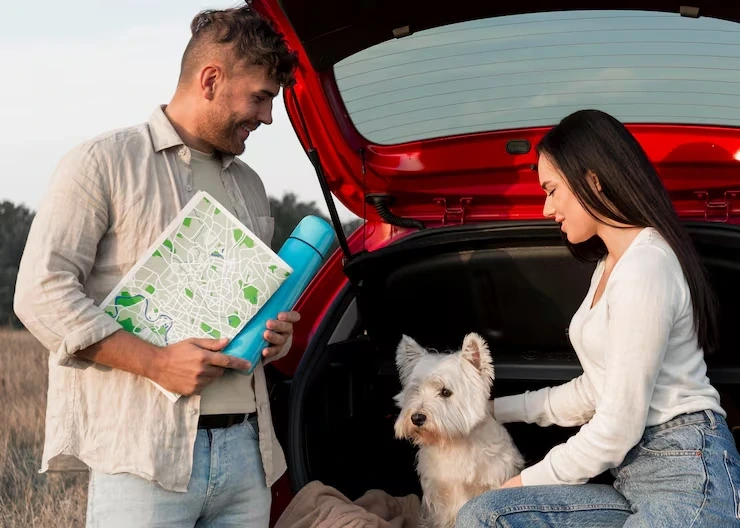 Pet Moving Services UK to Hungary