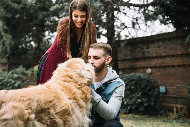 Pet Transport Services UK to Poland