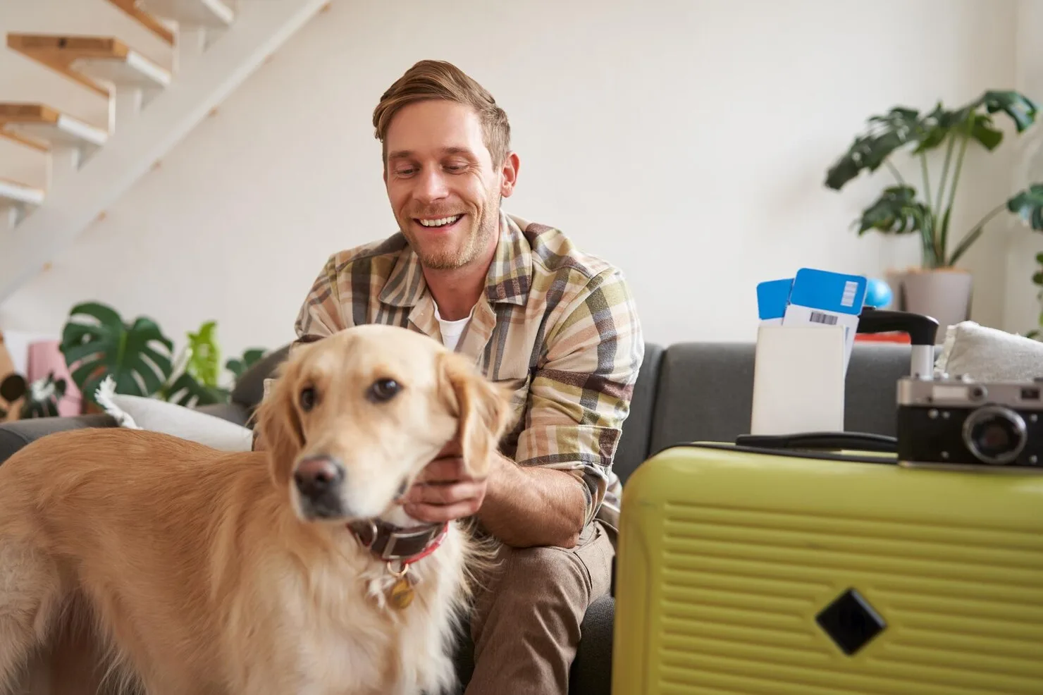 Pet Export Services UK to Poland