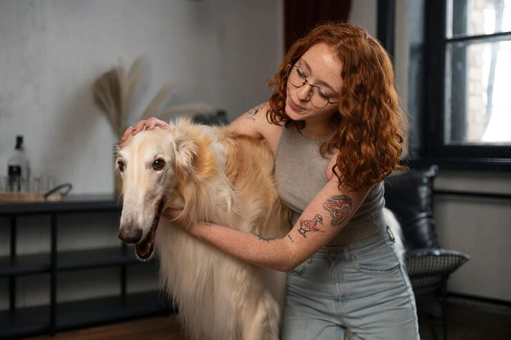 Pet Transport Service From the UK to Germany With Health Checks Travel Documents and Care Stops