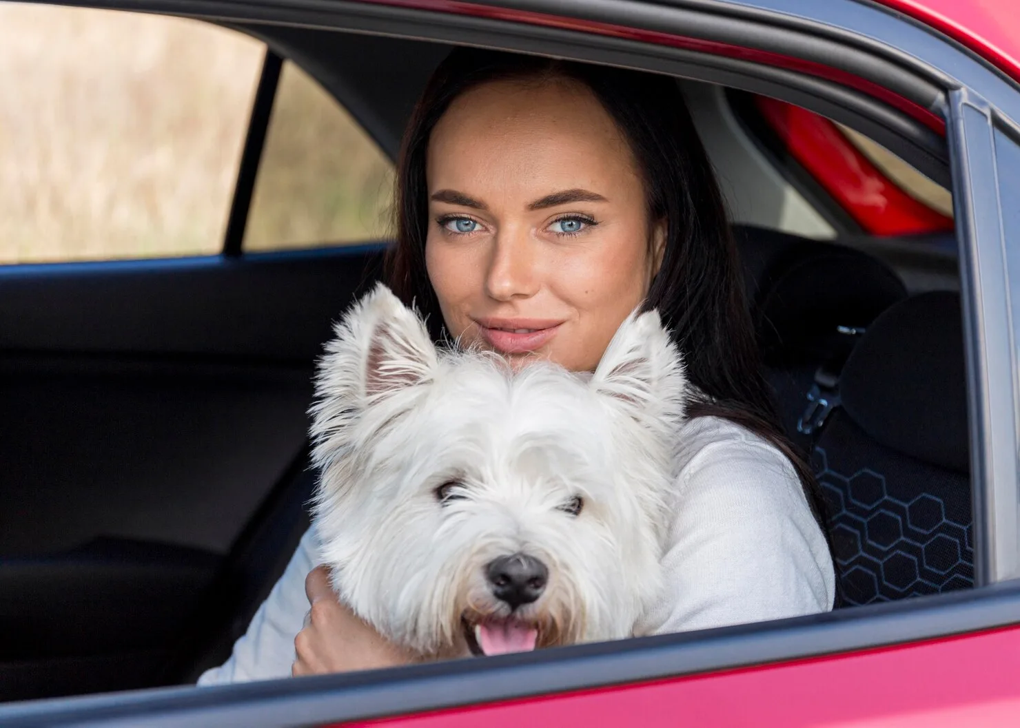 Luxury Pet Transport for Pets with Special Needs
