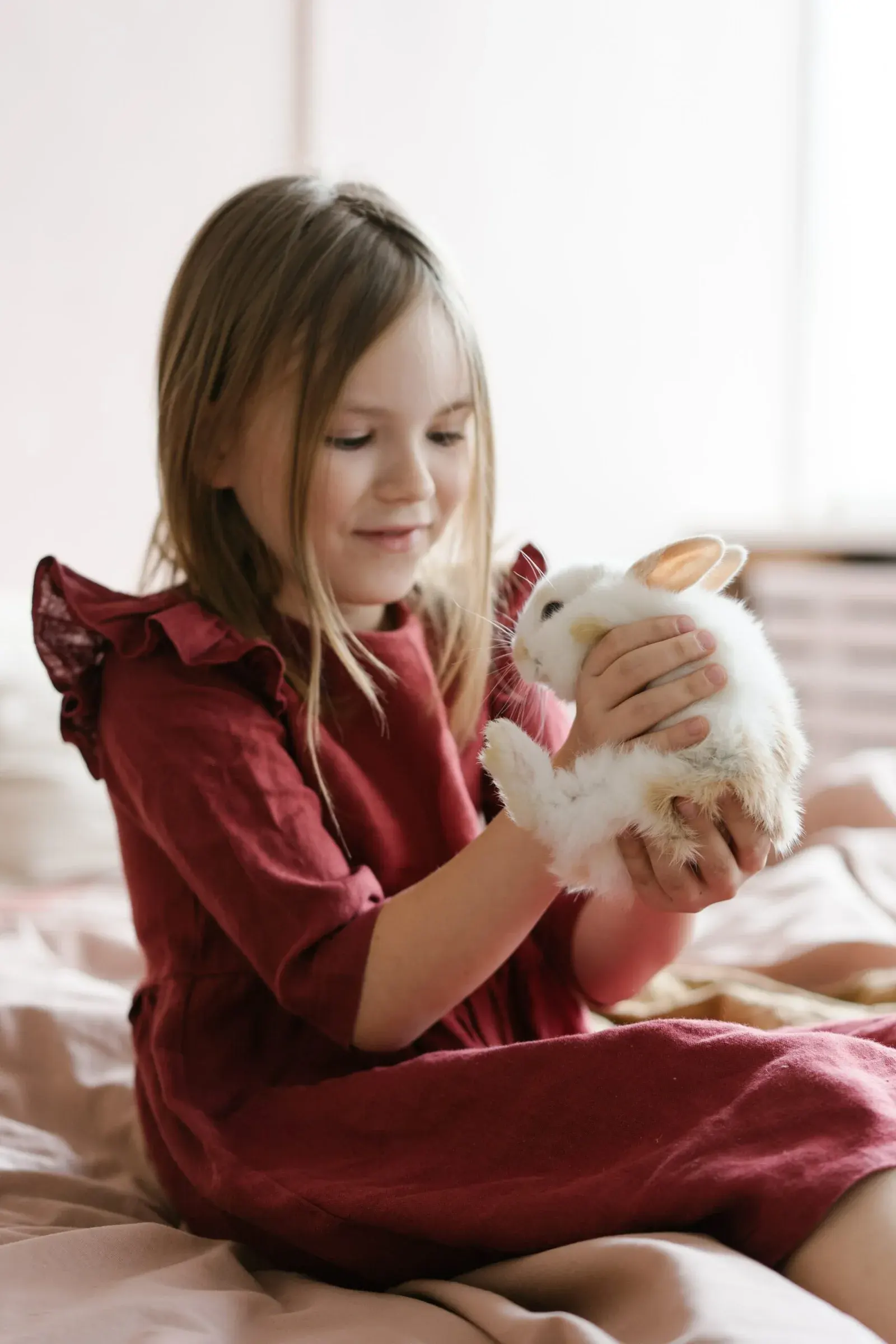 Rabbit Shipping Services