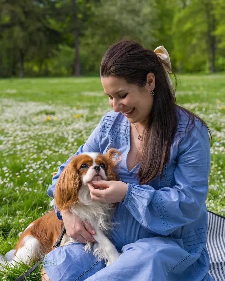 Safe Pet Transport Services UK to Poland