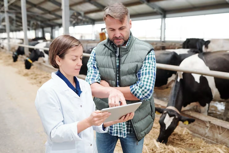 Trusted Pet Transport Services for Breeds Requiring Special Consideration With Care and Monitoring