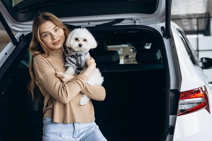 Pet Import Services Poland from UK