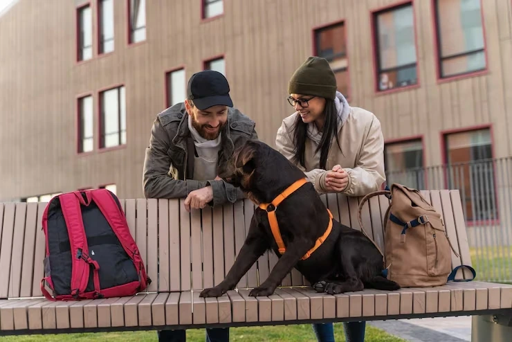 Trusted Pet Relocation Services Derby