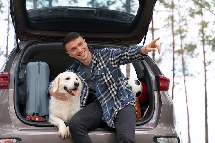 Door-to-Door Relocation Management