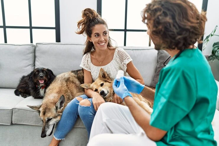 Our Services for Pet Relocation Services From the UK to Vancouver