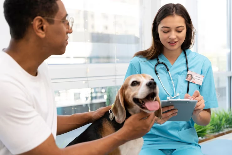 Our Services of pets care