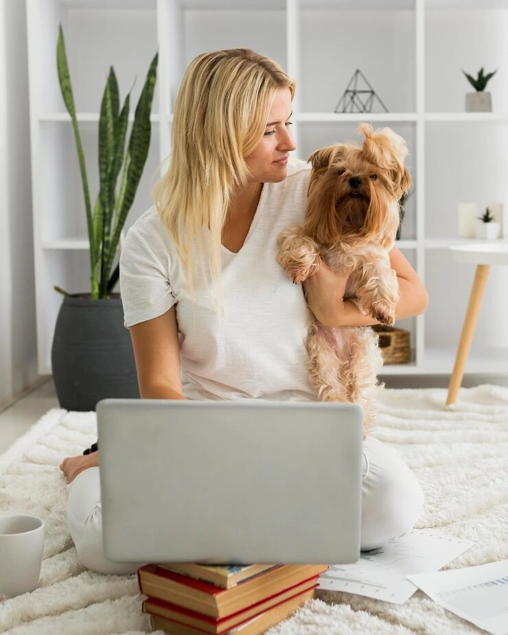 Pet Transport Services From the UK to Cape Town